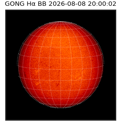 gong - 2026-08-08T20:00:02