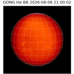 gong - 2026-08-08T21:00:02
