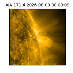 saia - 2026-08-09T08:00:09.351000