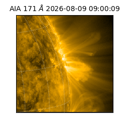 saia - 2026-08-09T09:00:09.351000