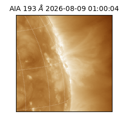 saia - 2026-08-09T01:00:04.842000