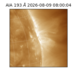 saia - 2026-08-09T08:00:04.842000