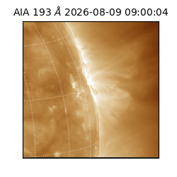 saia - 2026-08-09T09:00:04.842000