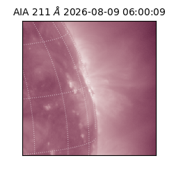 saia - 2026-08-09T06:00:09.635000