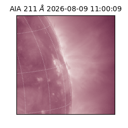 saia - 2026-08-09T11:00:09.624000
