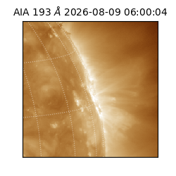 saia - 2026-08-09T06:00:04.842000