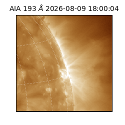 saia - 2026-08-09T18:00:04.842000