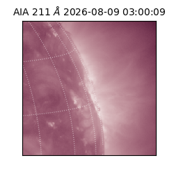 saia - 2026-08-09T03:00:09.623000