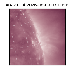 saia - 2026-08-09T07:00:09.624000