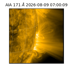 saia - 2026-08-09T07:00:09.351000