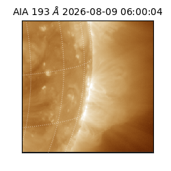 saia - 2026-08-09T06:00:04.842000