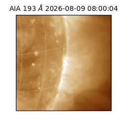 saia - 2026-08-09T08:00:04.842000