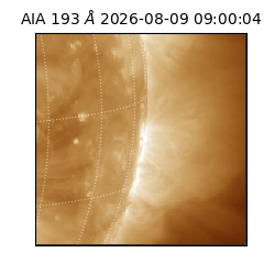 saia - 2026-08-09T09:00:04.842000