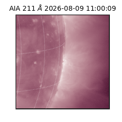 saia - 2026-08-09T11:00:09.624000