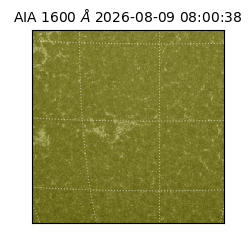saia - 2026-08-09T08:00:38.124000