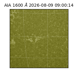 saia - 2026-08-09T09:00:14.124000