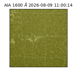 saia - 2026-08-09T11:00:14.124000