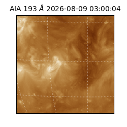saia - 2026-08-09T03:00:04.842000