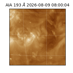 saia - 2026-08-09T08:00:04.842000