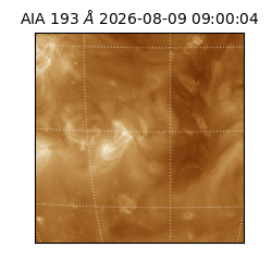 saia - 2026-08-09T09:00:04.842000
