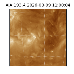 saia - 2026-08-09T11:00:04.842000