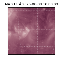 saia - 2026-08-09T10:00:09.623000