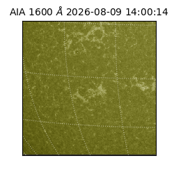 saia - 2026-08-09T14:00:14.130000