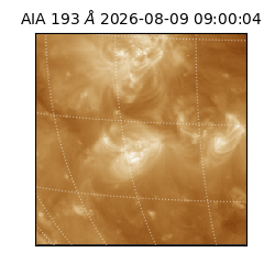saia - 2026-08-09T09:00:04.842000