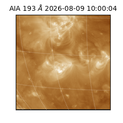 saia - 2026-08-09T10:00:04.842000