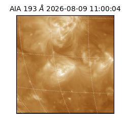 saia - 2026-08-09T11:00:04.842000