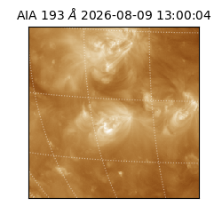 saia - 2026-08-09T13:00:04.842000