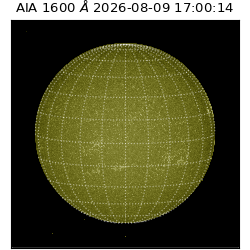 saia - 2026-08-09T17:00:14.130000