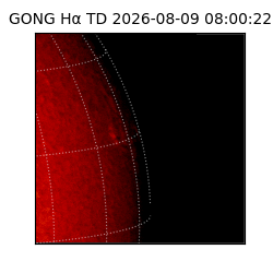 gong - 2026-08-09T08:00:22