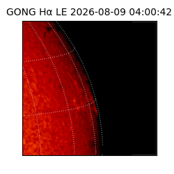 gong - 2026-08-09T04:00:42