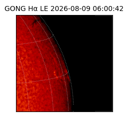 gong - 2026-08-09T06:00:42