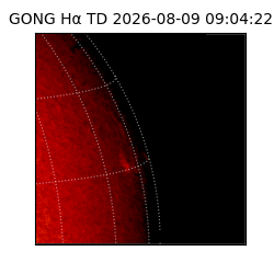 gong - 2026-08-09T09:04:22