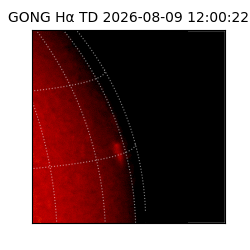 gong - 2026-08-09T12:00:22