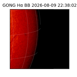 gong - 2026-08-09T22:38:02