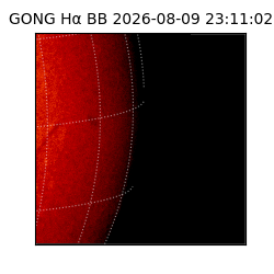gong - 2026-08-09T23:11:02
