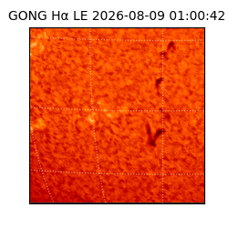 gong - 2026-08-09T01:00:42
