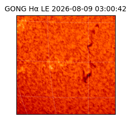 gong - 2026-08-09T03:00:42
