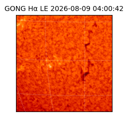 gong - 2026-08-09T04:00:42