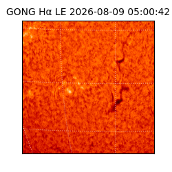 gong - 2026-08-09T05:00:42