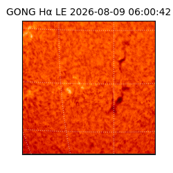 gong - 2026-08-09T06:00:42