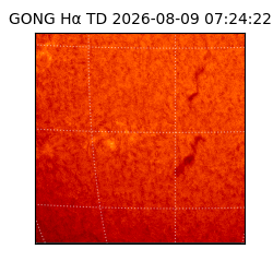 gong - 2026-08-09T07:24:22
