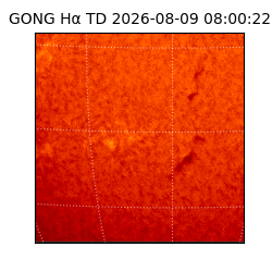gong - 2026-08-09T08:00:22