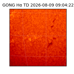 gong - 2026-08-09T09:04:22