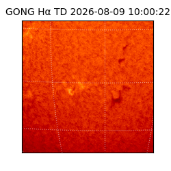 gong - 2026-08-09T10:00:22