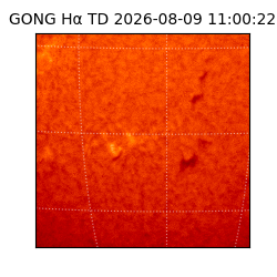 gong - 2026-08-09T11:00:22