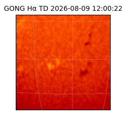 gong - 2026-08-09T12:00:22